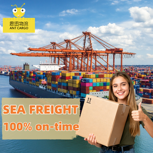 Reliable DDP Sea Freight Forwarder From China To Worldwide FCL Door-to-Door Amazon FBA Logistics