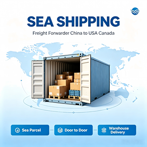 Professional Freight Forwarder DDP DDU Sea Air Shipping Agent