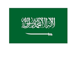 China Shipping Agent to Saudi Arabia UAE Oman & KSA DDP Sea Freight Forwarder & Sourcing Agent for LCL+Express