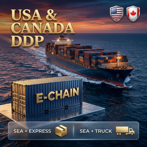 Ocean Freight Forwarder 20GP 40HQ FCL Door to Door Sea Shipping